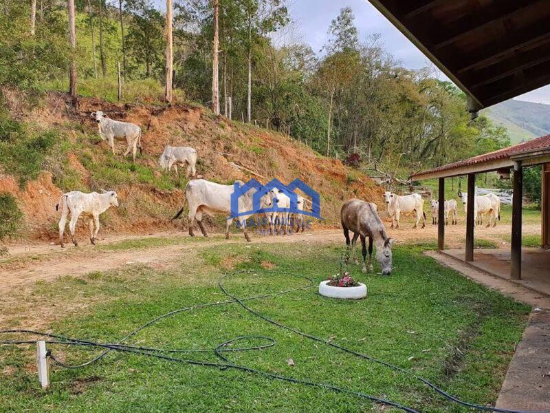 Sitio/Fazenda com 421 alqueires à Venda, por R$ 25.260.000 Cód. ch2149
