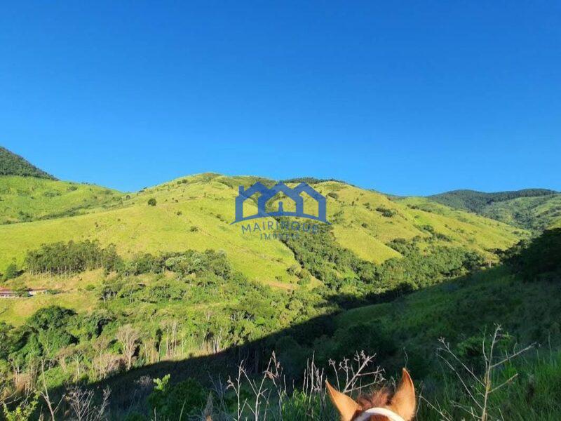 Sitio/Fazenda com 421 alqueires à Venda, por R$ 25.260.000 Cód. ch2149
