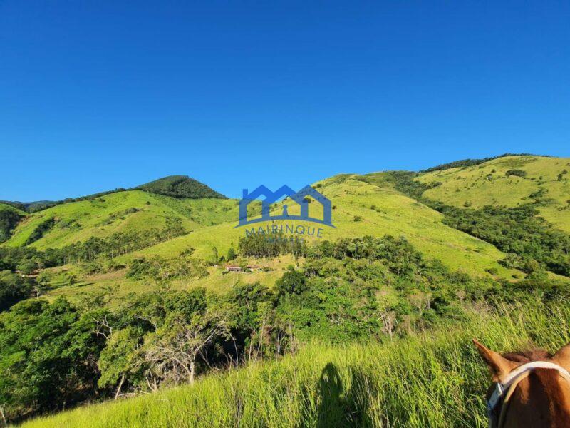 Sitio/Fazenda com 421 alqueires à Venda, por R$ 25.260.000 Cód. ch2149