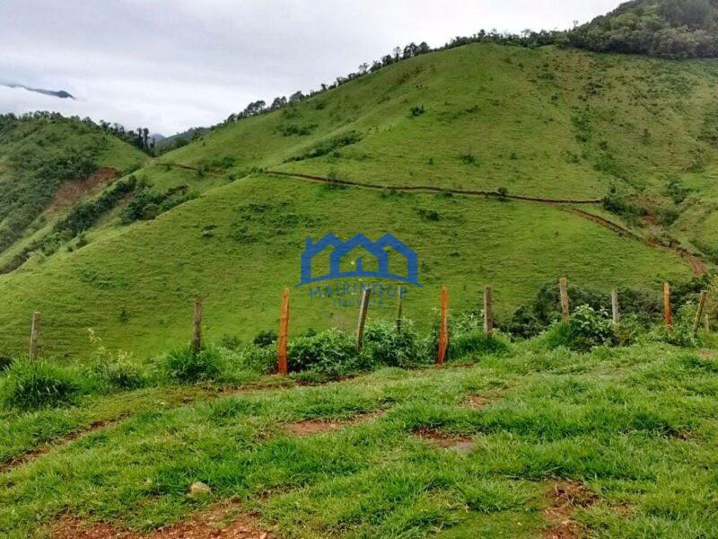 Sitio/Fazenda com 421 alqueires à Venda, por R$ 25.260.000 Cód. ch2149