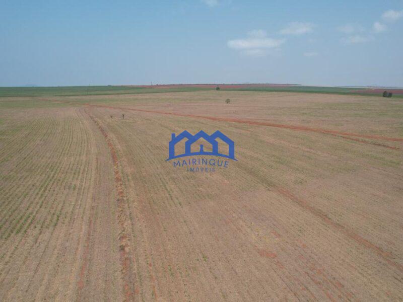 Sitio/Fazenda à Venda, 393 alqueires por R$ 55.000.000 Cód. ch2180