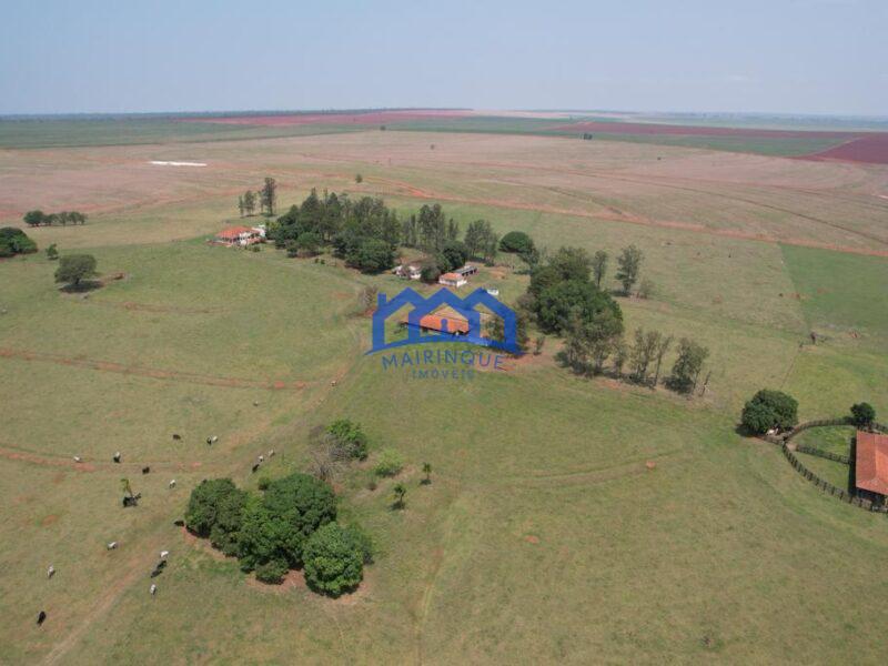 Sitio/Fazenda à Venda, 393 alqueires por R$ 55.000.000 Cód. ch2180