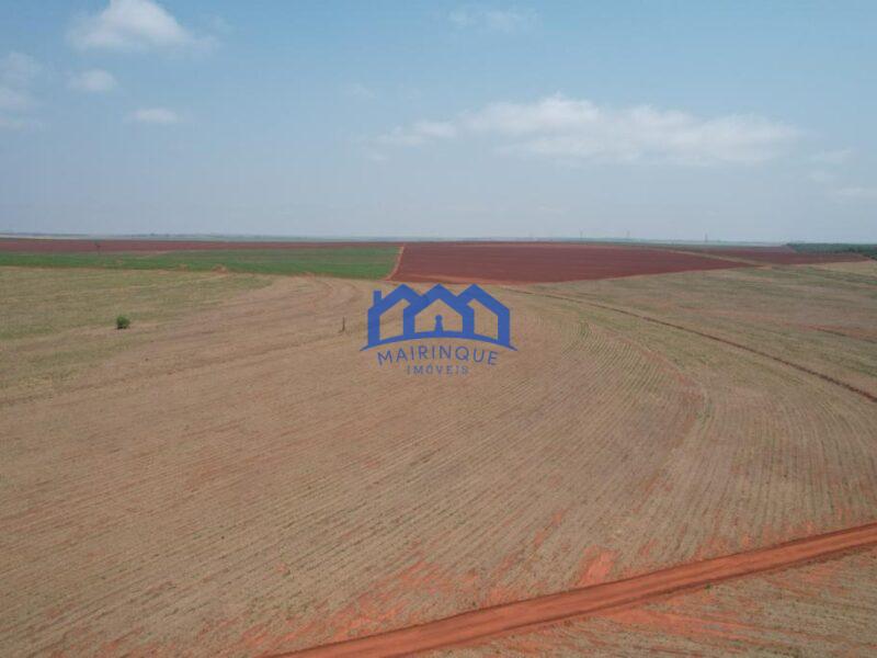 Sitio/Fazenda à Venda, 393 alqueires por R$ 55.000.000 Cód. ch2180