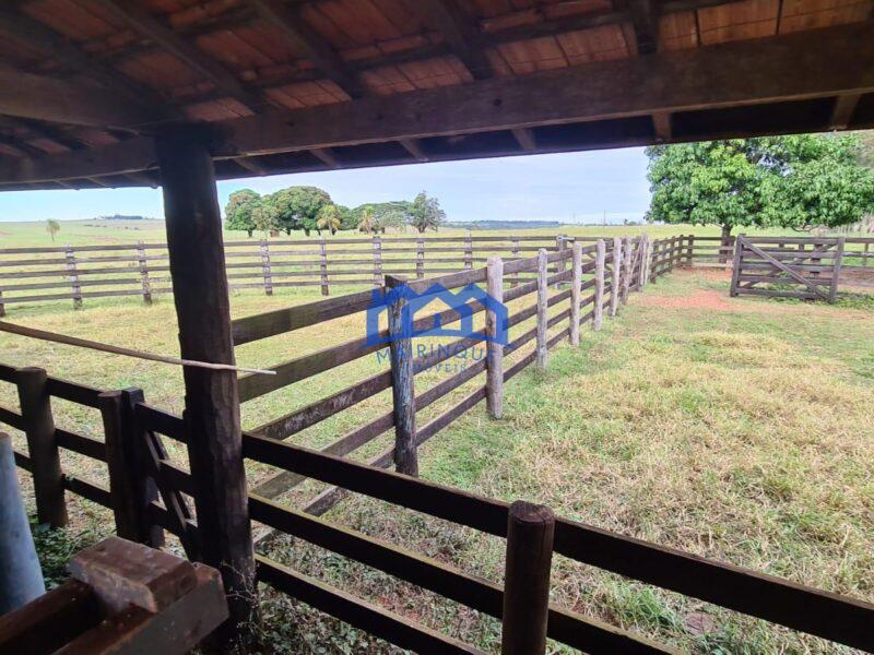 Sitio/Fazenda à Venda, 393 alqueires por R$ 55.000.000 Cód. ch2180