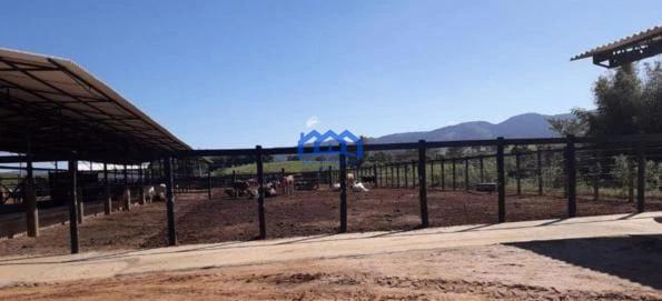 Sitio/Fazenda à Venda, 256 alqueires por R$ 20.000.000 Cód. ch2182