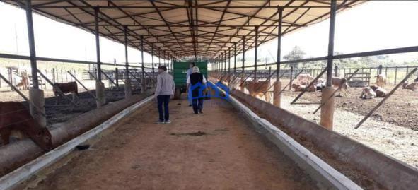 Sitio/Fazenda à Venda, 256 alqueires por R$ 20.000.000 Cód. ch2182