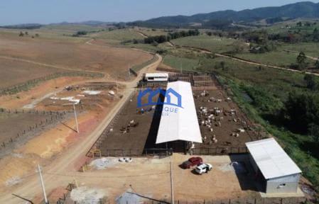 Sitio/Fazenda à Venda, 256 alqueires por R$ 20.000.000 Cód. ch2182