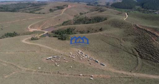 Sitio/Fazenda à Venda, 256 alqueires por R$ 20.000.000 Cód. ch2182