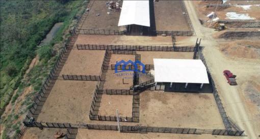 Sitio/Fazenda à Venda, 256 alqueires por R$ 20.000.000 Cód. ch2182