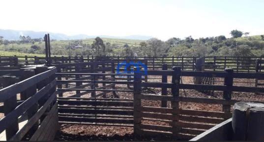 Sitio/Fazenda à Venda, 256 alqueires por R$ 20.000.000 Cód. ch2182