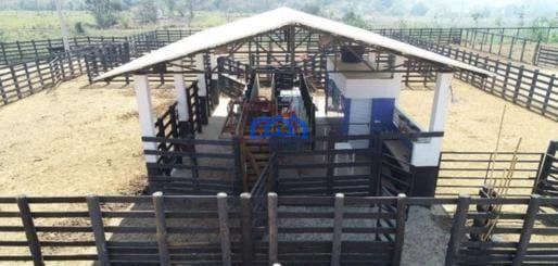Sitio/Fazenda à Venda, 256 alqueires por R$ 20.000.000 Cód. ch2182