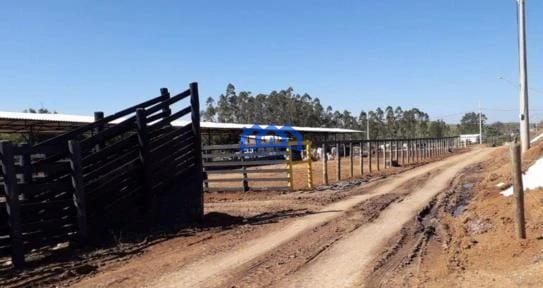 Sitio/Fazenda à Venda, 256 alqueires por R$ 20.000.000 Cód. ch2182
