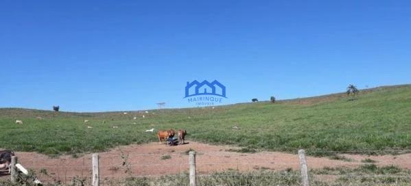 Sitio/Fazenda à Venda, 256 alqueires por R$ 20.000.000 Cód. ch2182