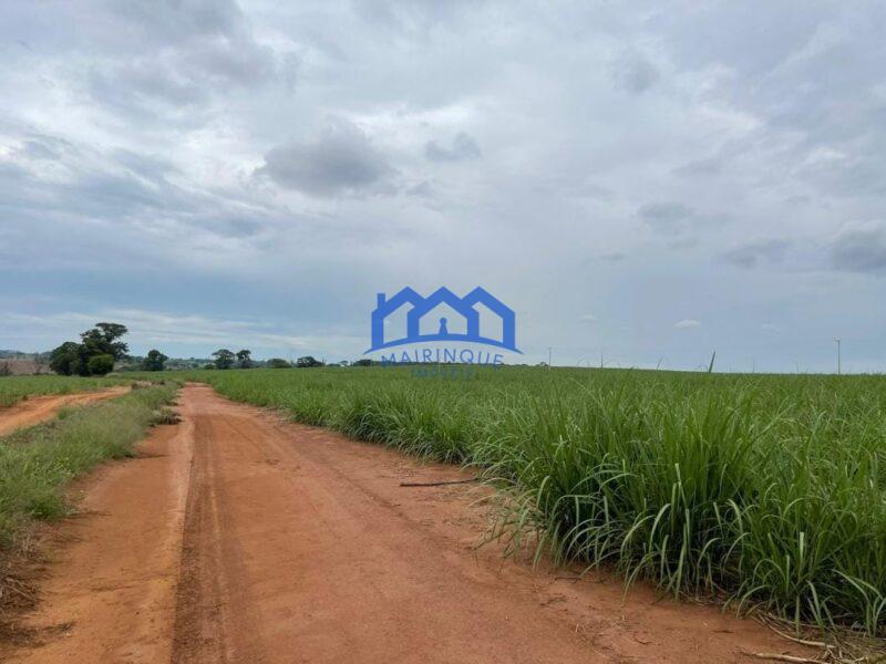 Sitio/Fazenda à Venda, 215 alqueires por R$ 53.750.000 Cód. ch2256