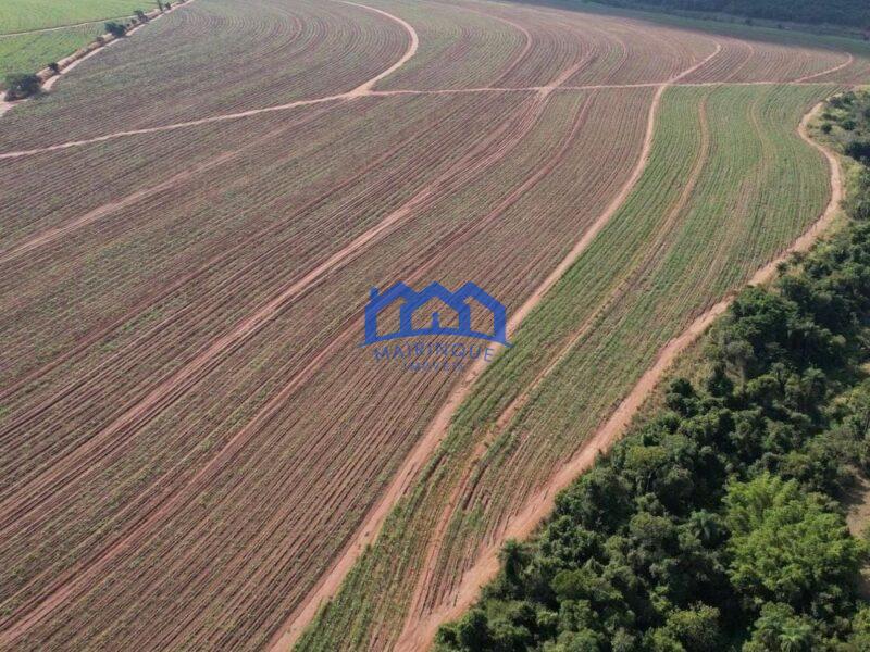 Sitio/Fazenda à Venda, 215 alqueires por R$ 53.750.000 Cód. ch2256
