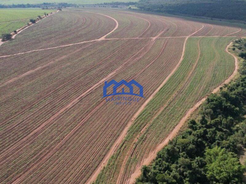 Sitio/Fazenda à Venda, 215 alqueires por R$ 53.750.000 Cód. ch2256
