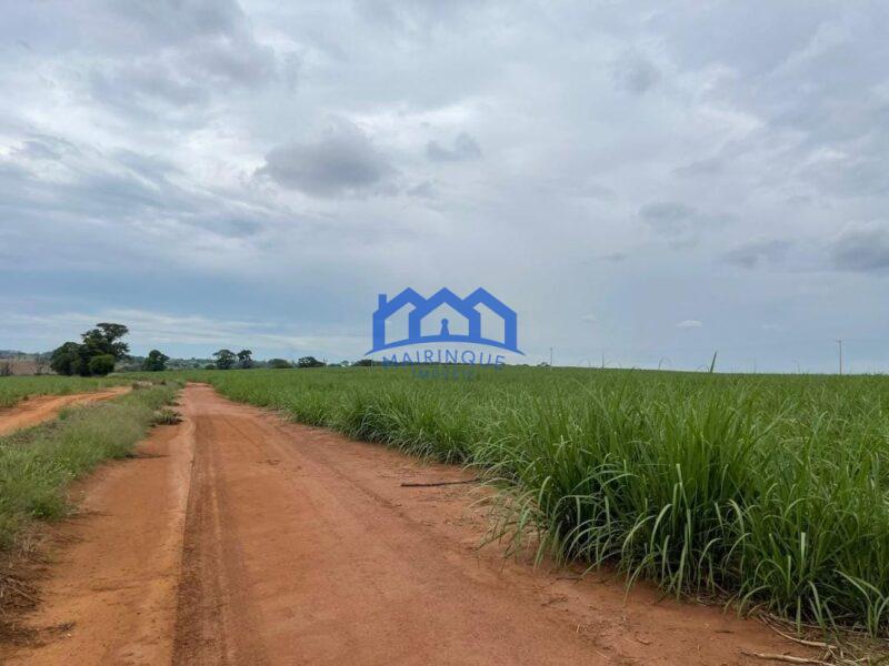 Sitio/Fazenda à Venda, 215 alqueires por R$ 53.750.000 Cód. ch2256