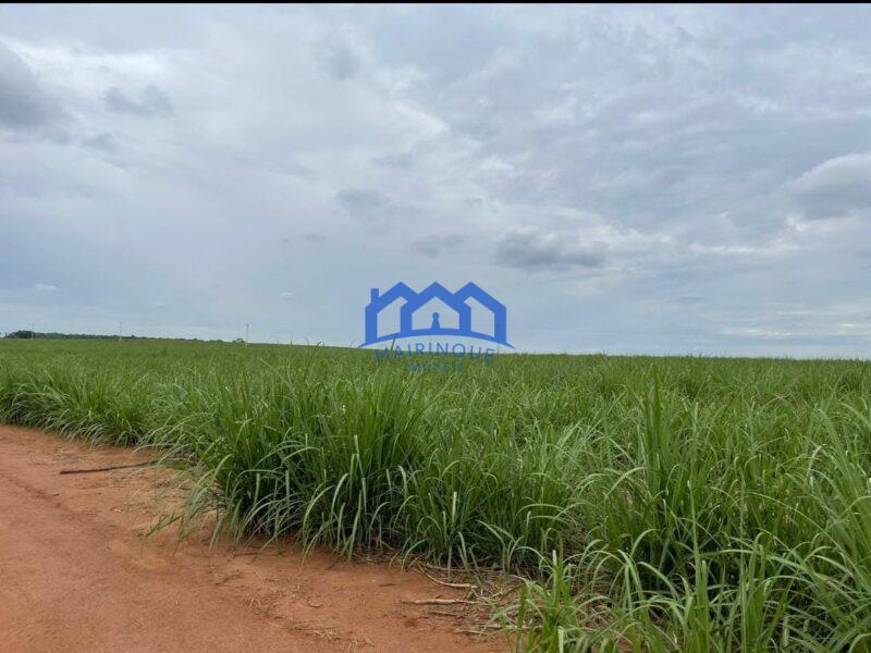 Sitio/Fazenda à Venda, 215 alqueires por R$ 53.750.000 Cód. ch2256