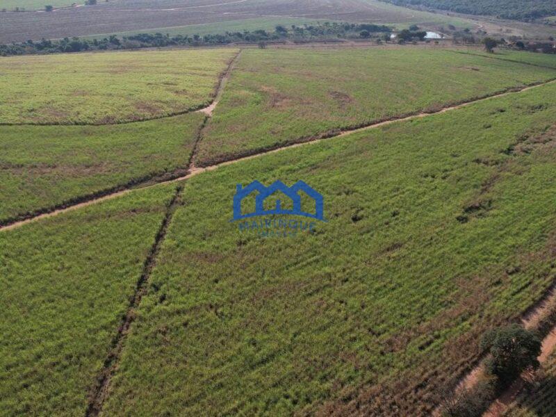Sitio/Fazenda à Venda, 215 alqueires por R$ 53.750.000 Cód. ch2256