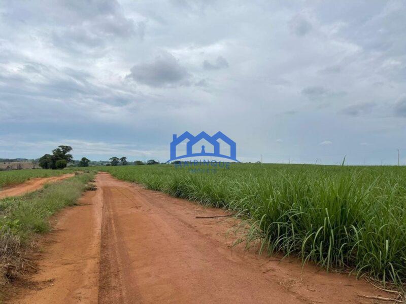 Sitio/Fazenda à Venda, 215 alqueires por R$ 53.750.000 Cód. ch2256