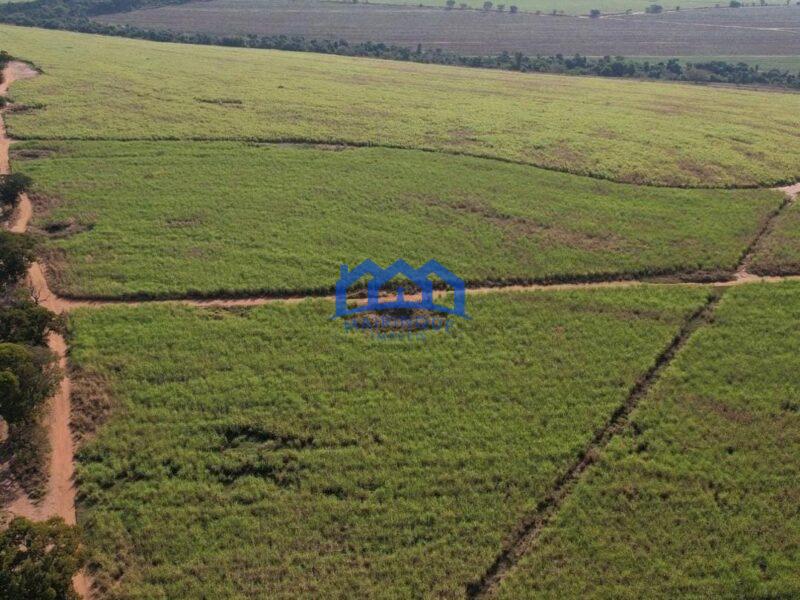 Sitio/Fazenda à Venda, 215 alqueires por R$ 53.750.000 Cód. ch2256