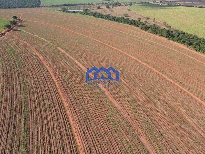 Sitio/Fazenda à Venda, 215 alqueires por R$ 53.750.000 Cód. ch2256