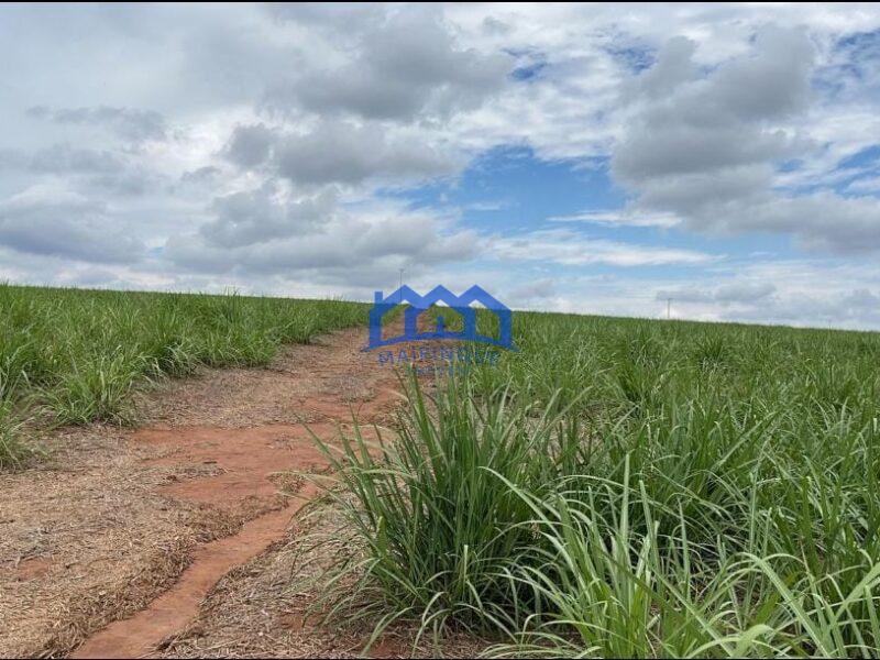 Sitio/Fazenda à Venda, 215 alqueires por R$ 53.750.000 Cód. ch2256