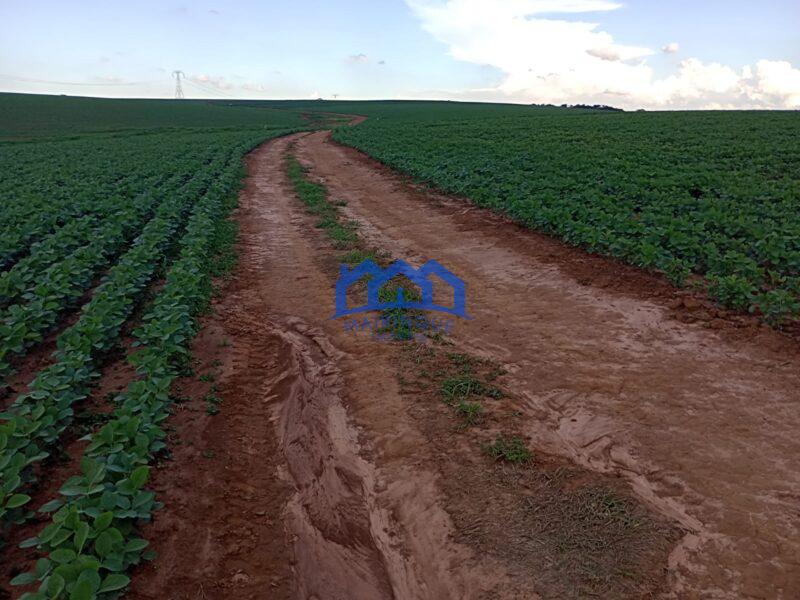 Fazenda/Sitio com 99 Alqueires á Venda, por R$ 22.770.000 cod. ch2243