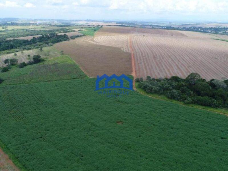 Fazenda/Sitio com 99 Alqueires á Venda, por R$ 22.770.000 cod. ch2243