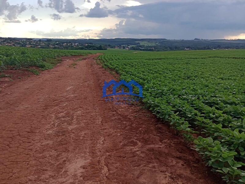 Fazenda/Sitio com 99 Alqueires á Venda, por R$ 22.770.000 cod. ch2243
