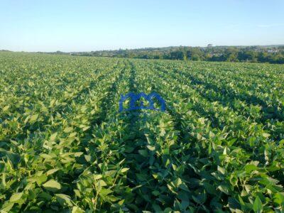 Fazenda/Sitio com 99 Alqueires á Venda, por R$ 22.770.000 cod. ch2243