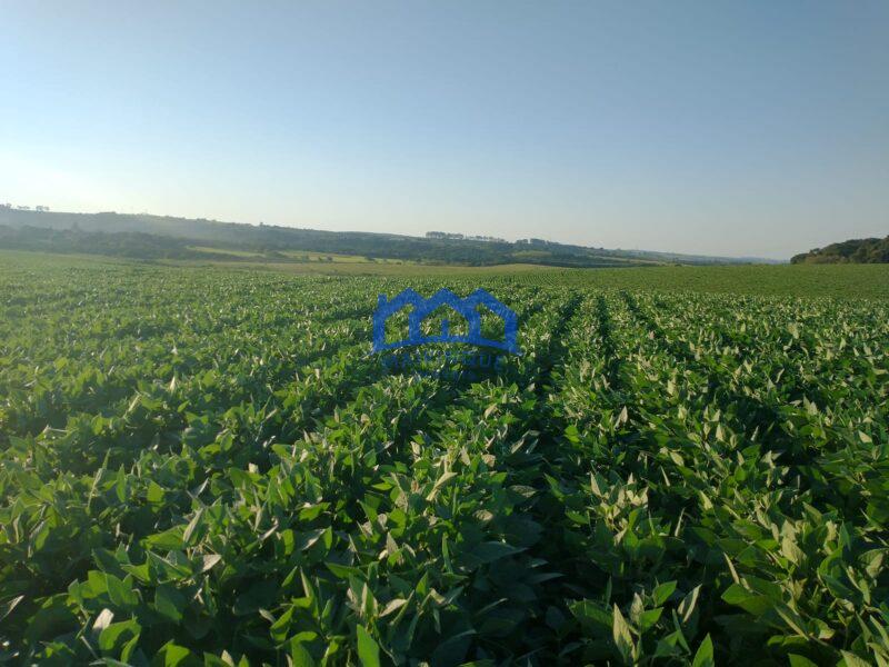 Fazenda/Sitio com 99 Alqueires á Venda, por R$ 22.770.000 cod. ch2243