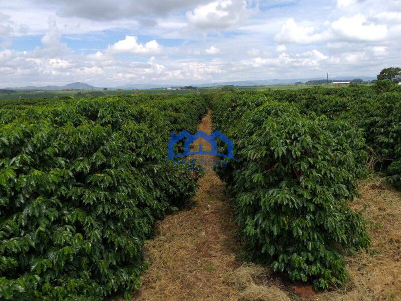 Fazenda com 60 Alqueires á Venda, por R$35.000.000 cod. ch2248