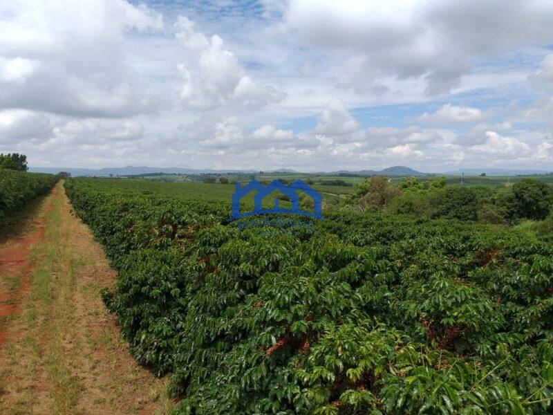Fazenda com 60 Alqueires á Venda, por R$35.000.000 cod. ch2248