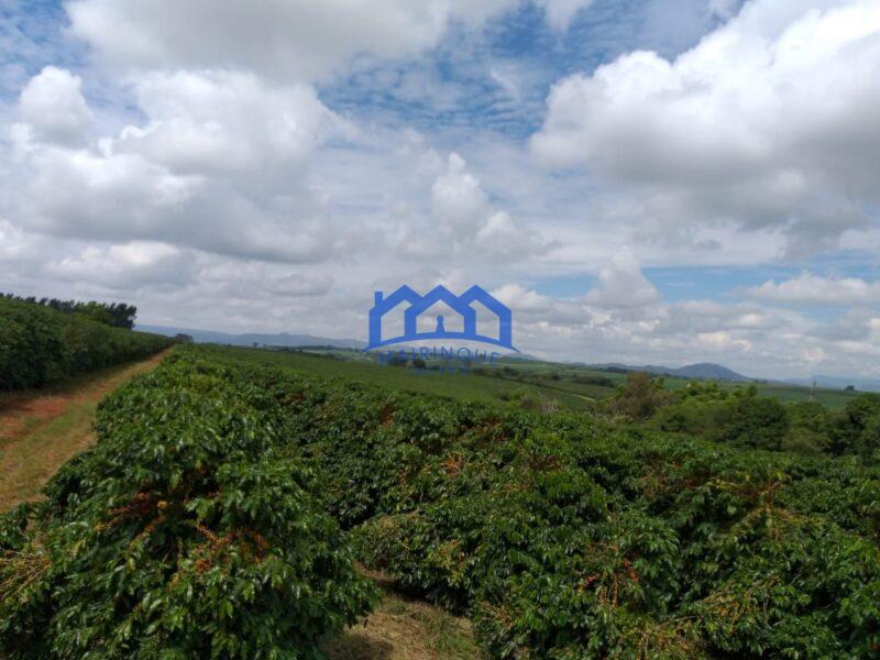 Fazenda com 60 Alqueires á Venda, por R$35.000.000 cod. ch2248