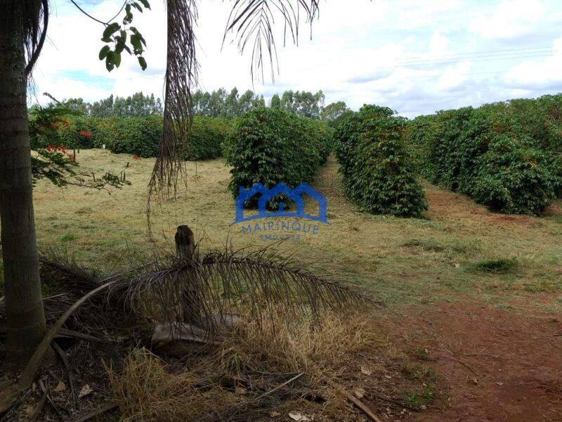 Fazenda com 60 Alqueires á Venda, por R$35.000.000 cod. ch2248