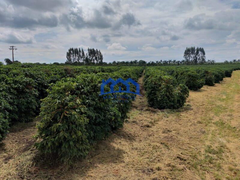Fazenda com 60 Alqueires á Venda, por R$35.000.000 cod. ch2248