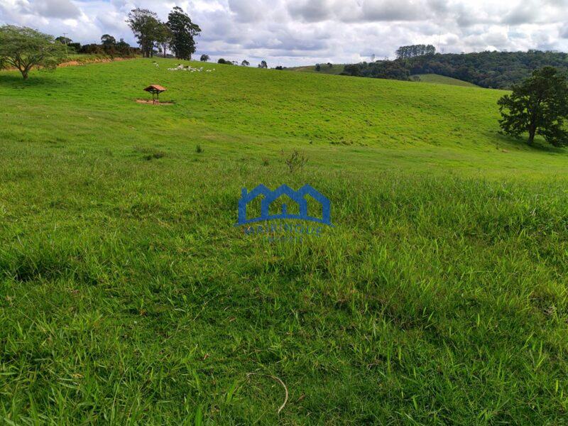 Sitio/Fazenda à Venda, com 53 alqueires por R$ 17.000.000 Cód. ch2251