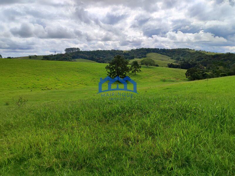Sitio/Fazenda à Venda, com 53 alqueires por R$ 17.000.000 Cód. ch2251