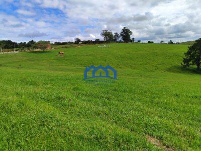 Sitio/Fazenda à Venda, com 53 alqueires por R$ 17.000.000 Cód. ch2251