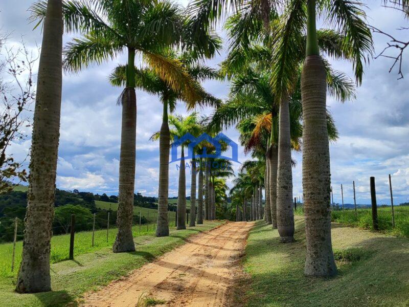 Sitio/Fazenda à Venda, com 53 alqueires por R$ 17.000.000 Cód. ch2251