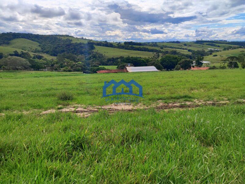 Sitio/Fazenda à Venda, com 53 alqueires por R$ 17.000.000 Cód. ch2251