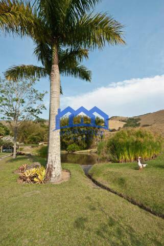 Fazenda com 380 Alqueires á Venda, por R$25.460.000 cod. ch2249