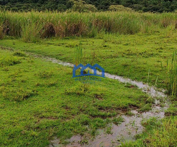 Sitio/Fazenda com 10,33 alqueires à Venda, por R$ 2.300.000 Cód. ch2253