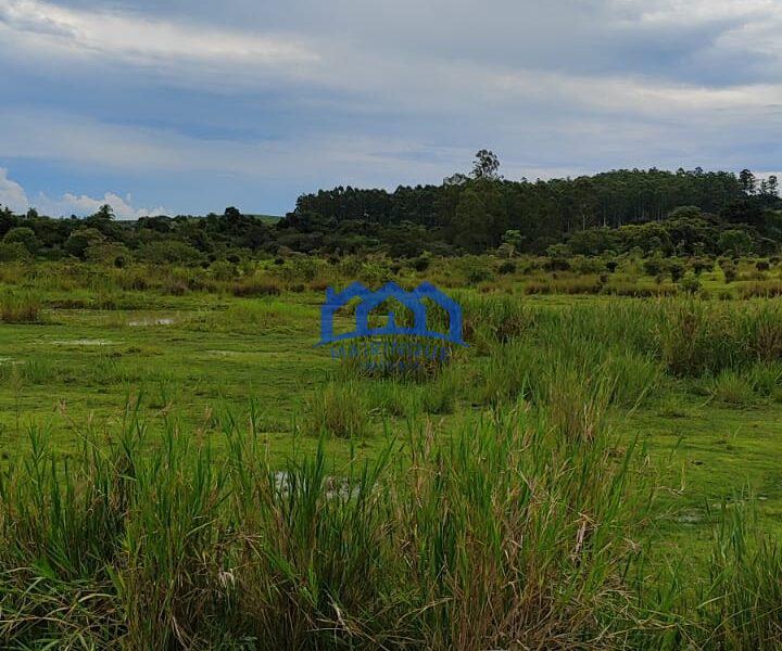 Sitio/Fazenda com 10,33 alqueires à Venda, por R$ 2.300.000 Cód. ch2253
