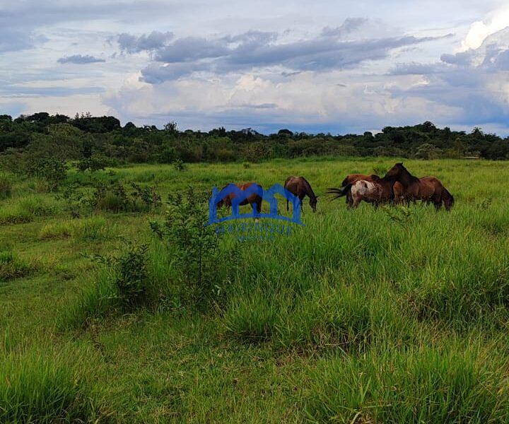 Sitio/Fazenda com 10,33 alqueires à Venda, por R$ 2.300.000 Cód. ch2253