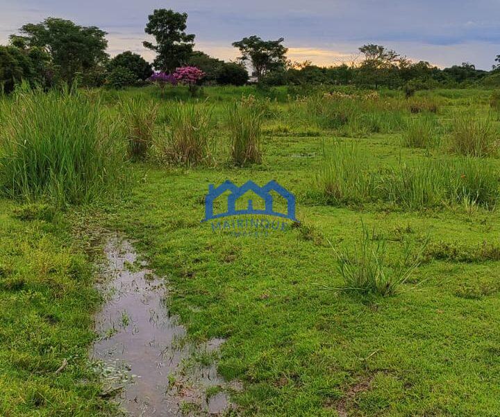 Sitio/Fazenda com 10,33 alqueires à Venda, por R$ 2.300.000 Cód. ch2253