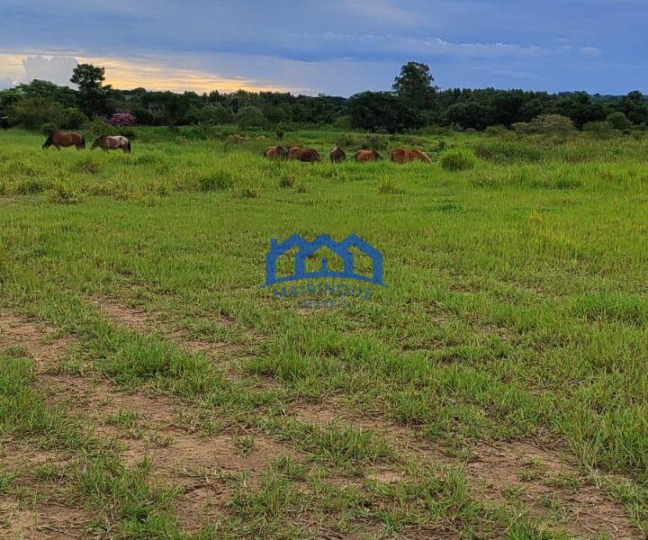 Sitio/Fazenda com 10,33 alqueires à Venda, por R$ 2.300.000 Cód. ch2253