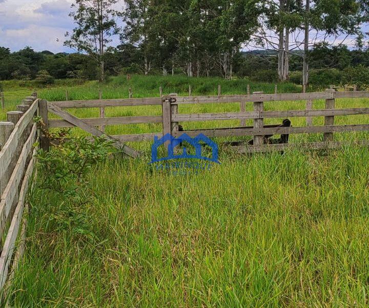 Sitio/Fazenda com 10,33 alqueires à Venda, por R$ 2.300.000 Cód. ch2253