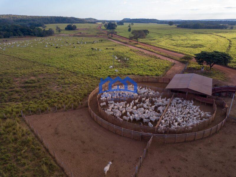 Sitio/Fazenda à Venda, 7.800 alqueires por R$ 360.000.000 Cód. ch2261